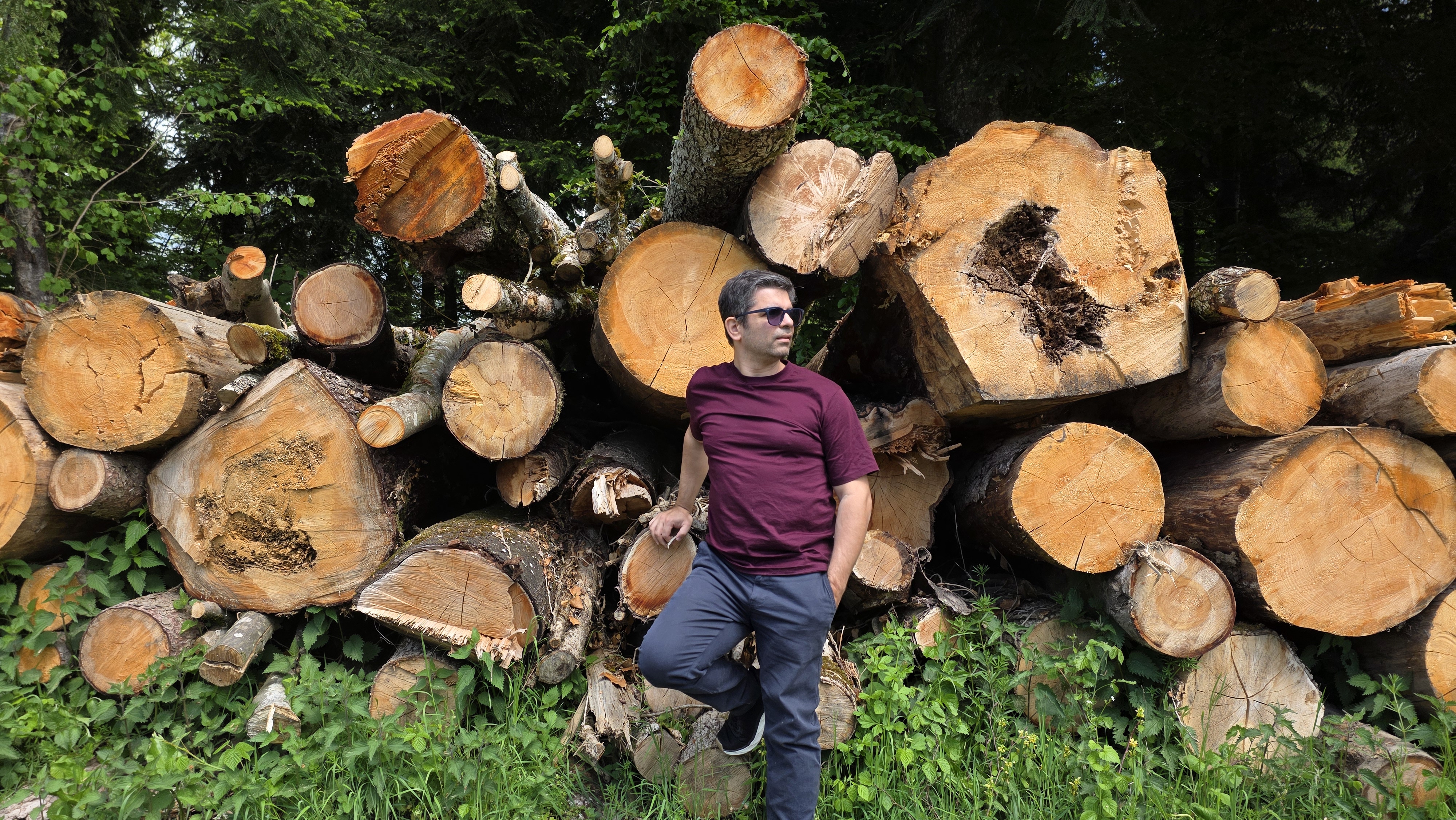 Matthieu Le Tousse — auteur de Si les arbres pouvaient parler